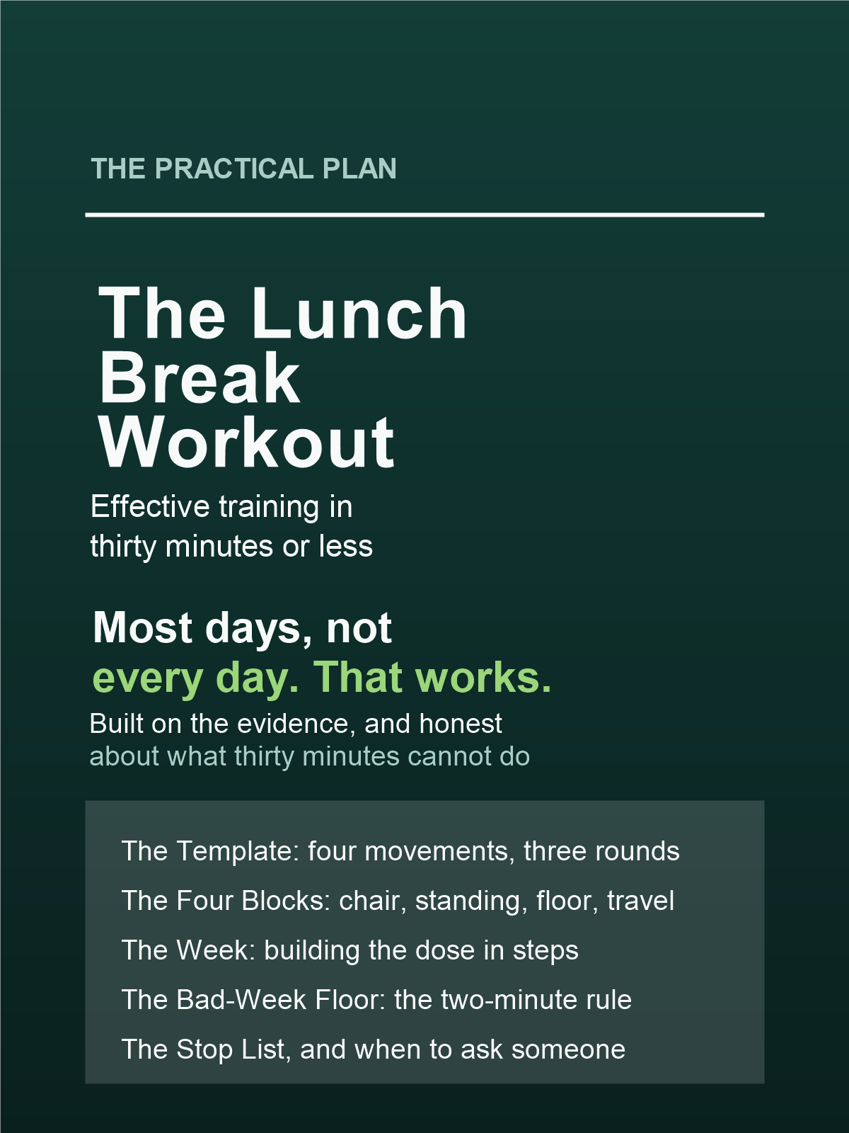 Cover of The Lunch Break Workout: Effective Training in 30 Minutes or Less